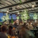 Gallow Green Rooftop Chelsea