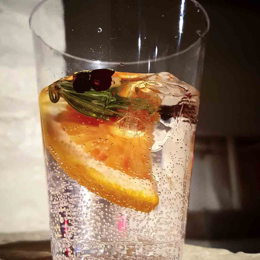 Blood Orange and Rosemary Gin and Tonic