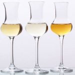 Essential Six of Grappa