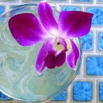 drink-this-now--when-she-sings-cocktail-at-area-31-miami-kimpton-epic-doug-kincaid6-featured