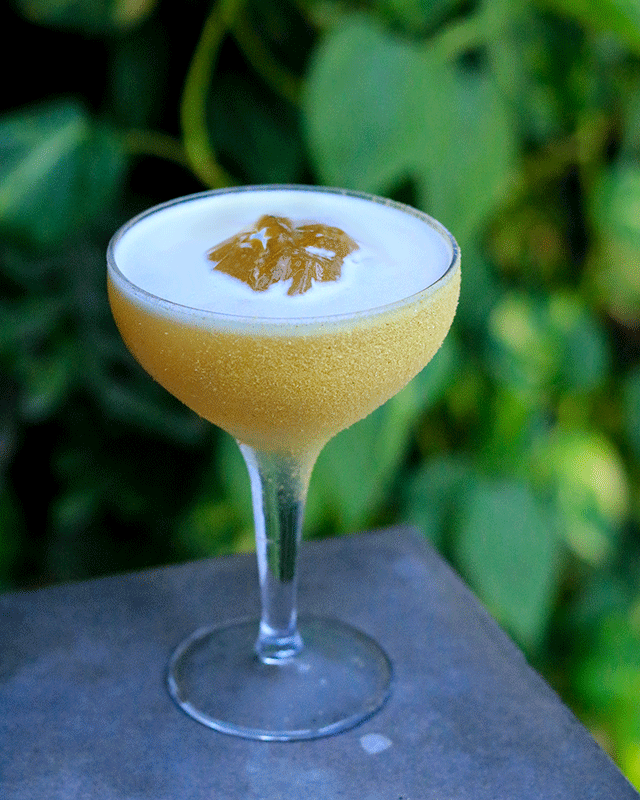 kyu-miami-cocktail-pairings-the-pollinator-photo-credit_-daniel-villa